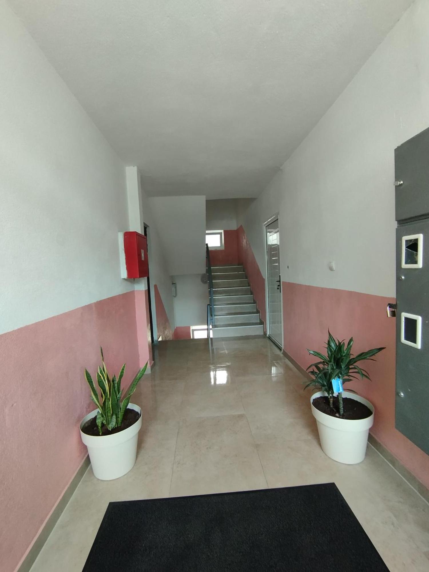 Apartment La Casa Plužine Rom bilde